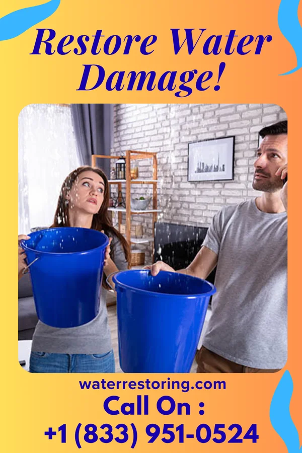 water restoration Best Extraction Specialists Sparks